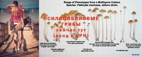 тгк Лагань